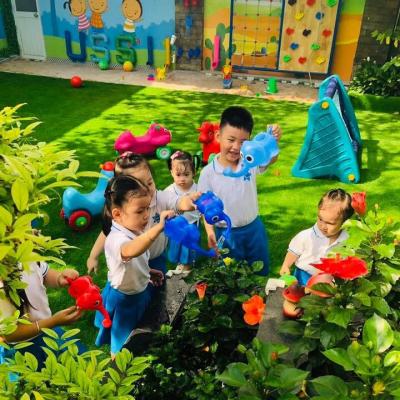 Cỏ nhân tạo dày2li